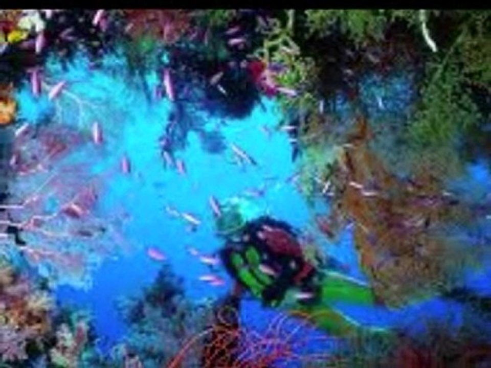 Cayman Islands Hotel Reservation by www.HotelWorld.co