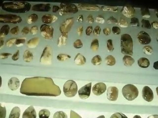 Shop for Baltic Amber in Gdansk 2012_2013