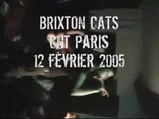 Brixton Cats - Career Opportunities