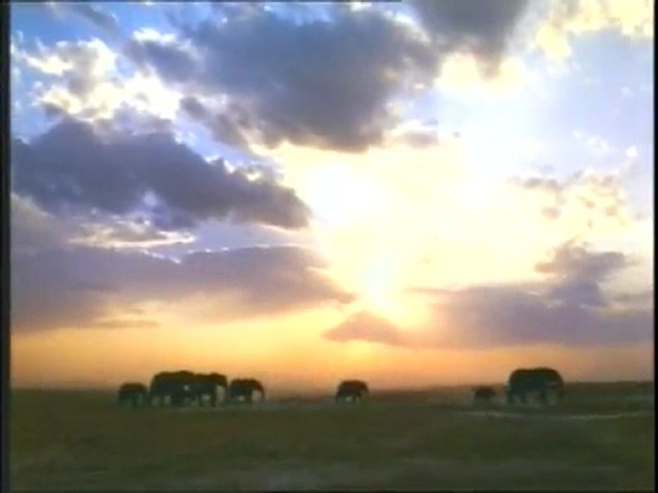 Fillerin sessizliği