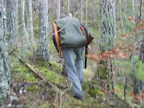 Chasse à la Bécasse dans les Alpes de haute provence