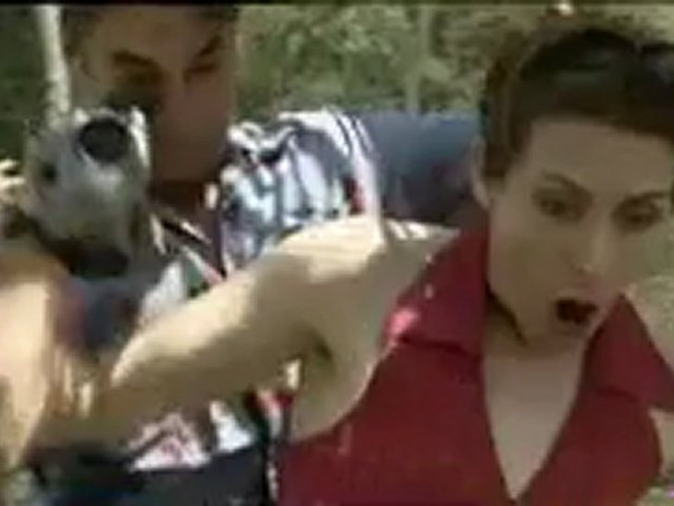 ฝูงอสรพิษเลื้อยยึดเกาะ _1