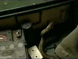 ฝูงอสรพิษเลื้อยยึดเกาะ _2