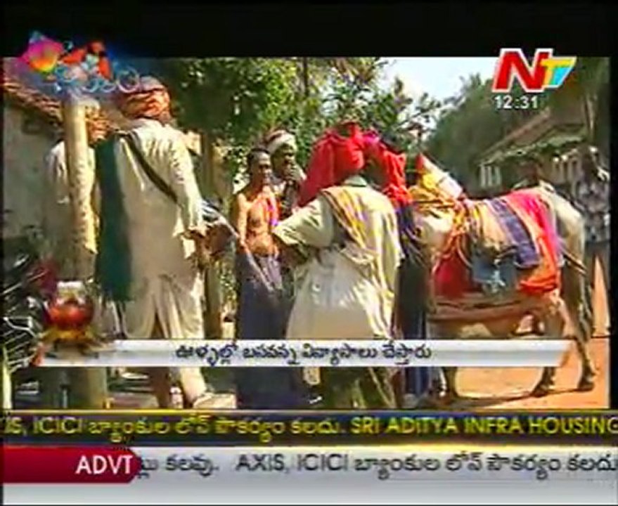 Do Do Basavanna Sankranthi Special Program - 01