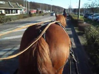 balade attelage à gruchet 2