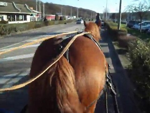 balade attelage à gruchet 2