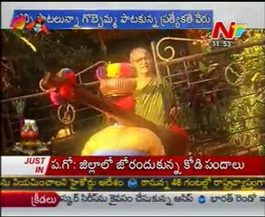 Special Focus - Andala Sankranti - 03