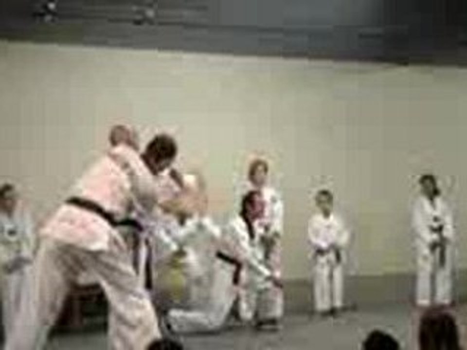 demo st barth