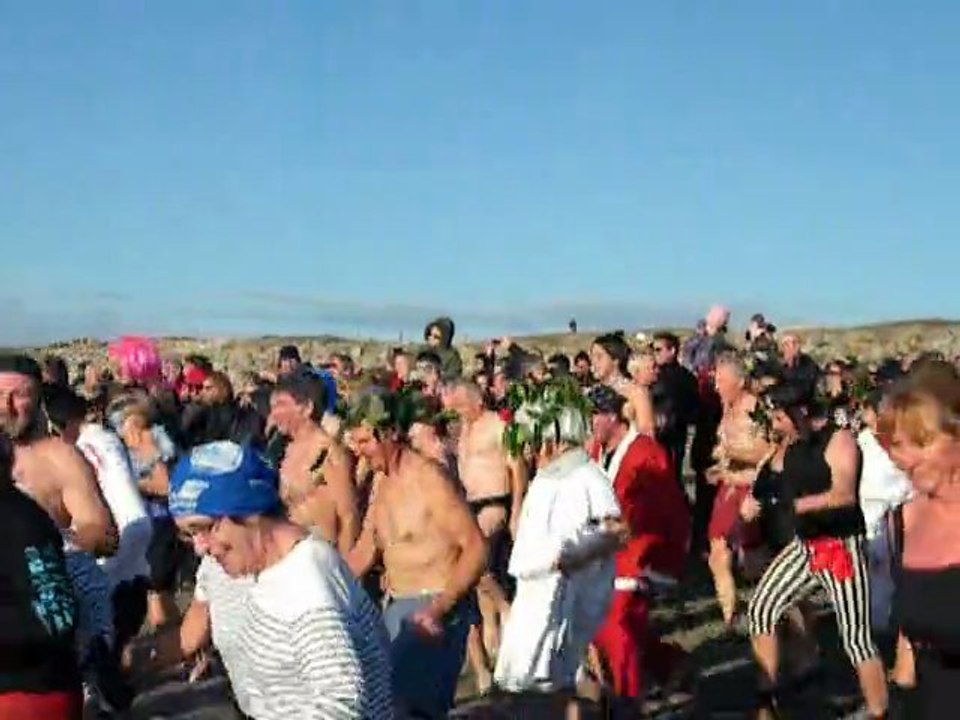 Baignade des Otaries 2011