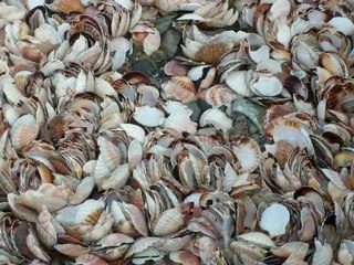 le ciel le soleil et la mer