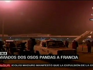 China envió dos pandas a zoológico de Francia
