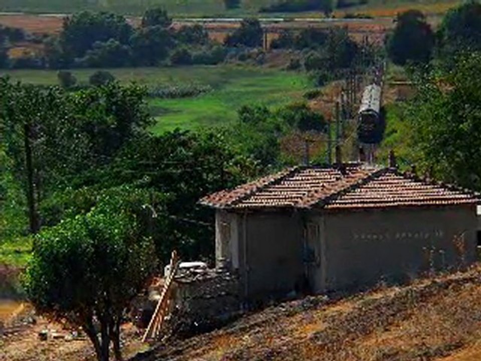 gülü susuz seni aşksız bırakmam