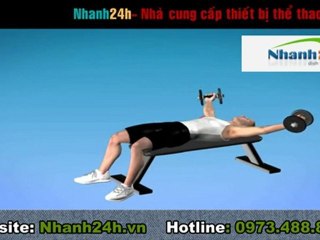 Tập thể dục, tập thể hình - Bài tập tạ 6 - Nhanh24h.vn