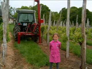 2010 05 02 - Rando des Sangliers