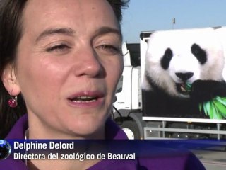 Dos pandas se mudan a Francia
