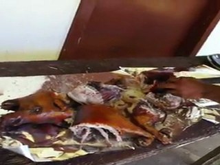 Sione's Goodbye Party -- Chopping Up the Pig