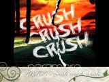 Paramore - Crush Crush Crush cover (Trice)
