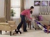Pet Lover Plus Upright Vacuum Cleaner