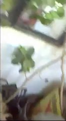 فري برس   إطلاق النار على جنازة محمد وزياد درويش الرستن 1 12 2011 ج2