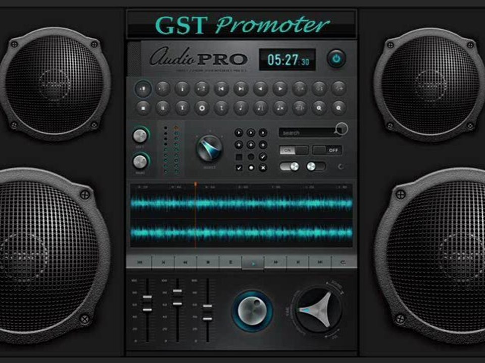 GST Promoter