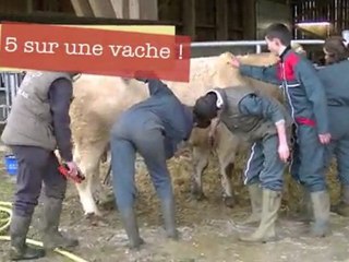 Première douche à l'exploitation