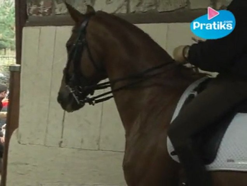 Equitation - Le reculer