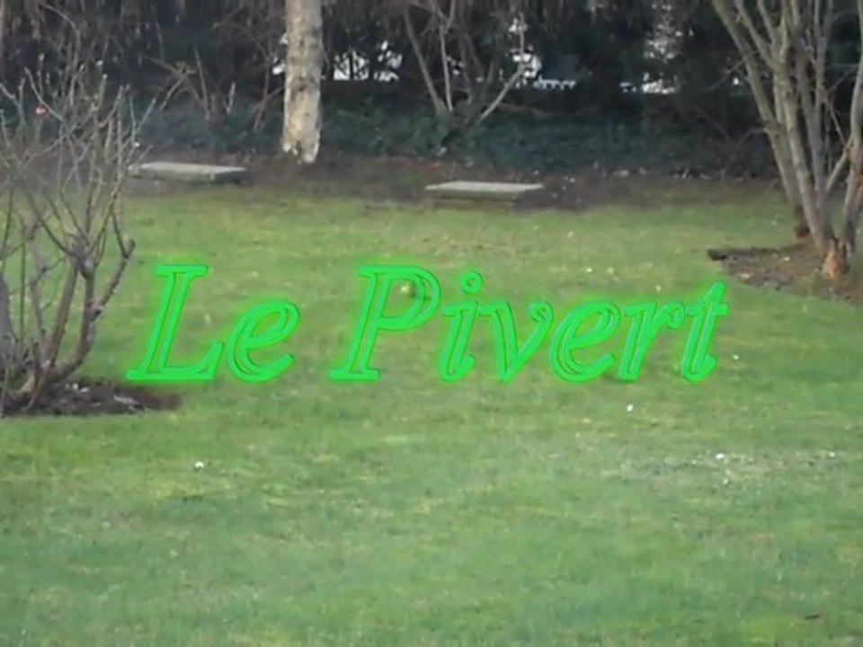 Le Pivert