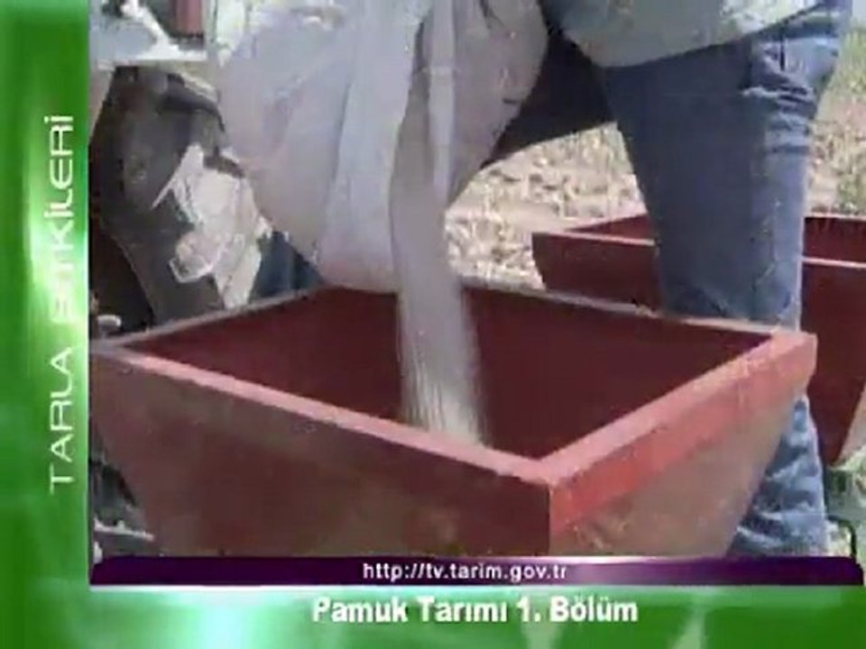 Pamuk Tarımı 1. Bölüm (1/2)