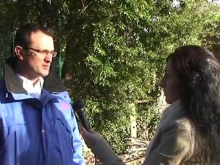 Lutter contre la disparition des abeilles