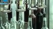 Des vendanges à la bouteille. Un regard sur la fabrication du vin en Israël.