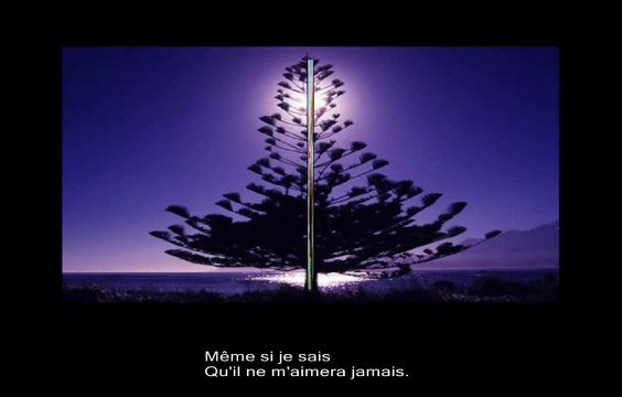 Starmania Céline Dion Vanessa Paradis Jean-Jacques Goldman Ziggy les Uns contre les Autres