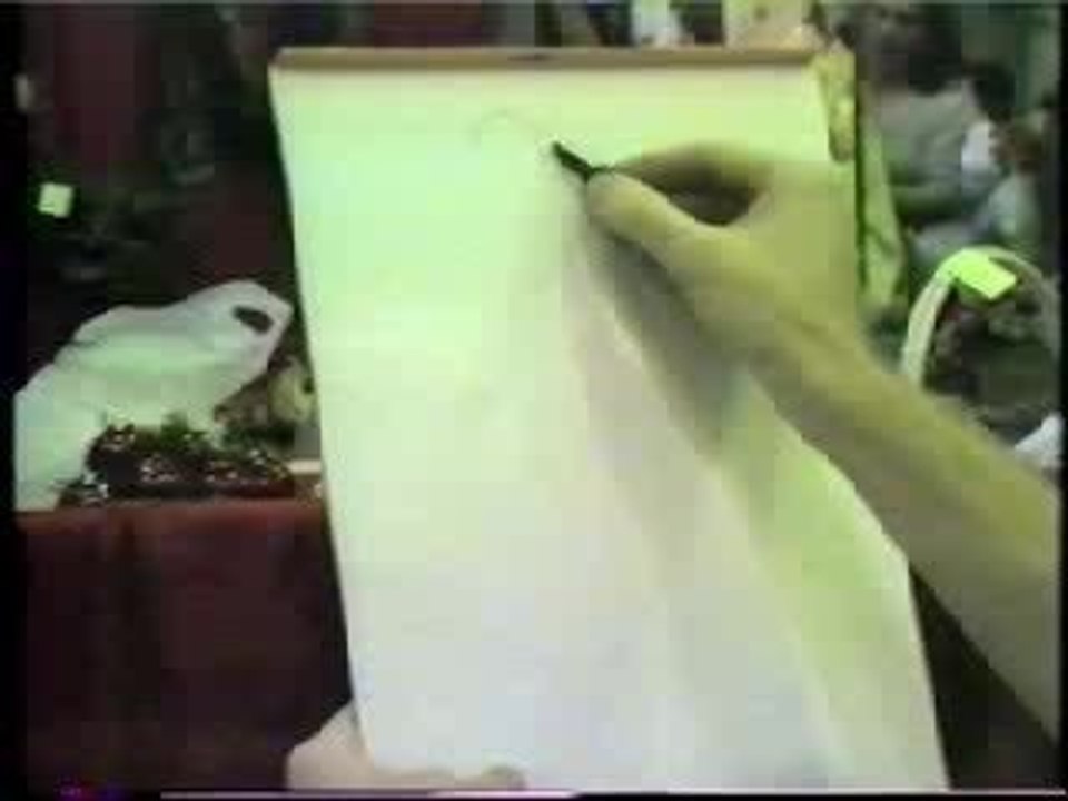 caricature