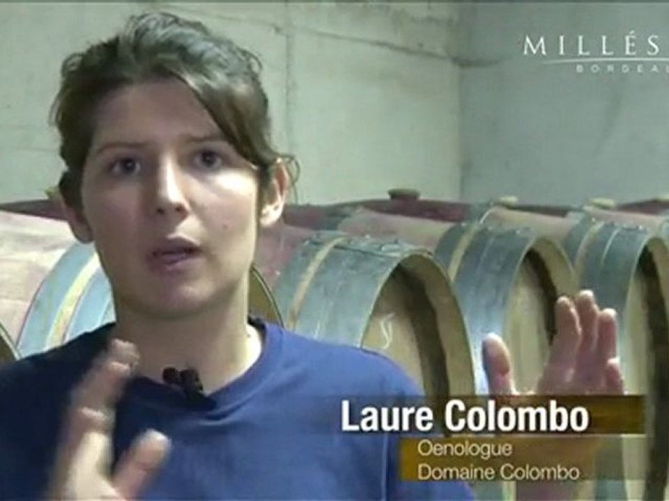 Vidéo du Domaine Colombo