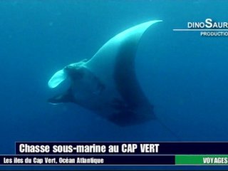 Chasse sous marine au Cap vert