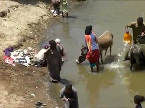 Sharing water