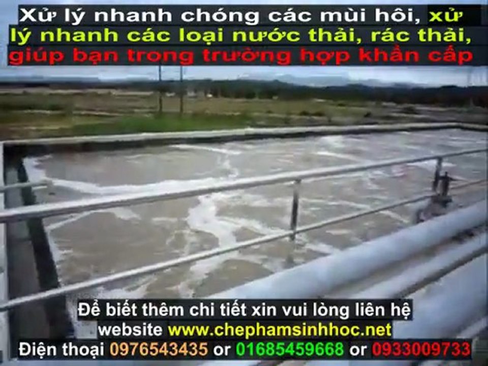 Mô hình hệ thống xử lý nước thải, Quy trình xử lý nước thải  với chế phẩm sinh học Weviro