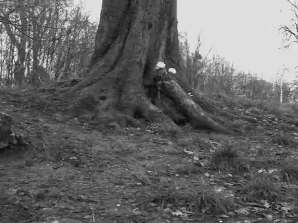 L'Arbre