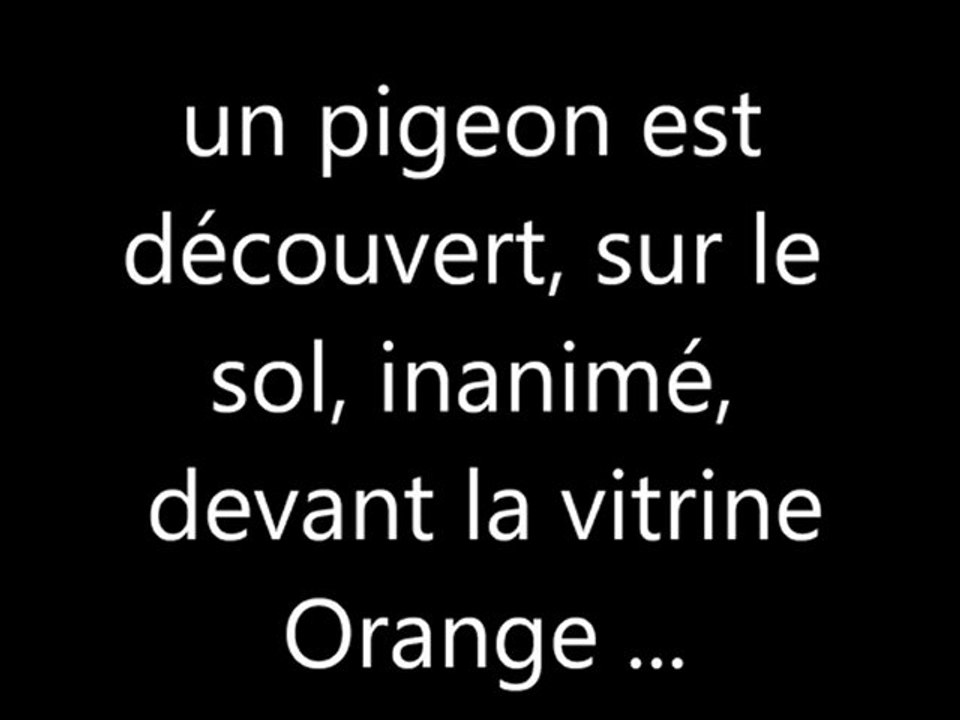 Pigeon Orange 2