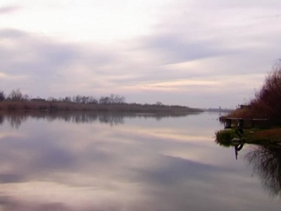 Waterscape 5