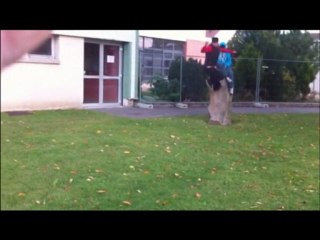 magicsnam petite compilation photo mdr avec ca music preferer kabyle lol