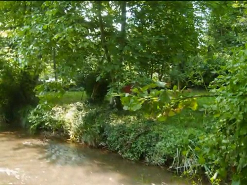 ceviz ağacı, Nazım HİKMET