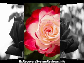 Win Your Ex Boyfriend Back Video