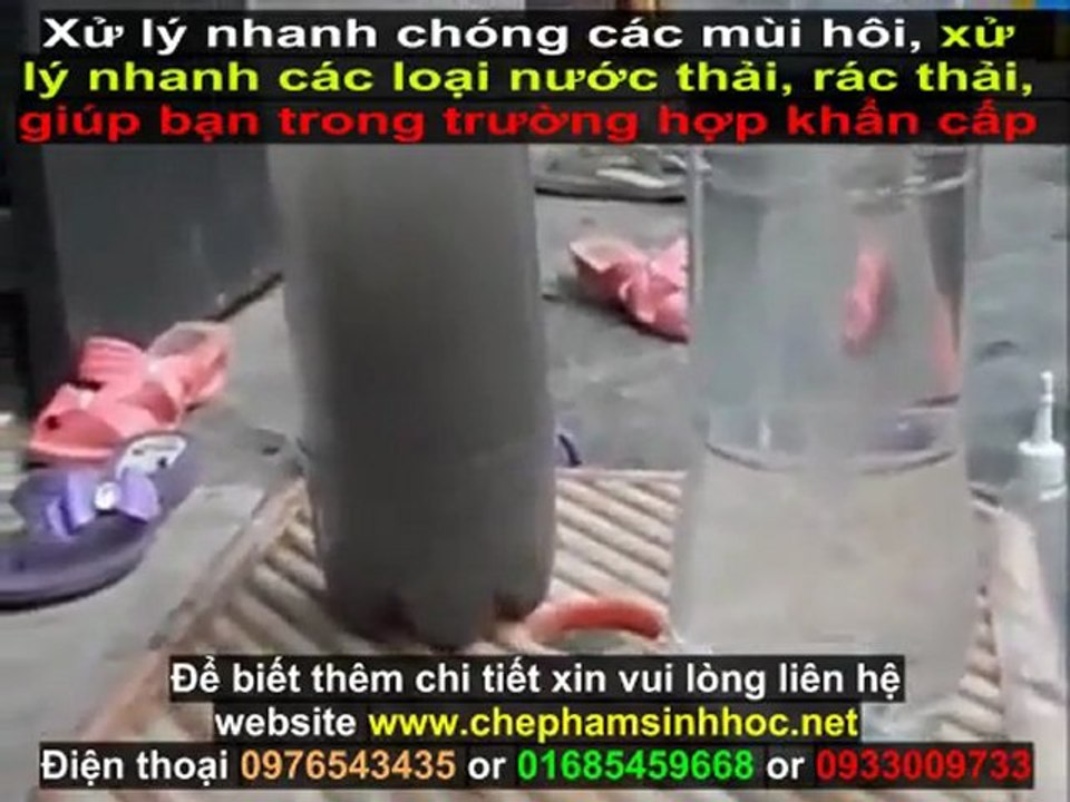 Xử lý mùi hôi chuồng trại chăn nuôi - Xử lý chất thải chăn nuôi lợn heo hiệu quả với chế phẩm weviro