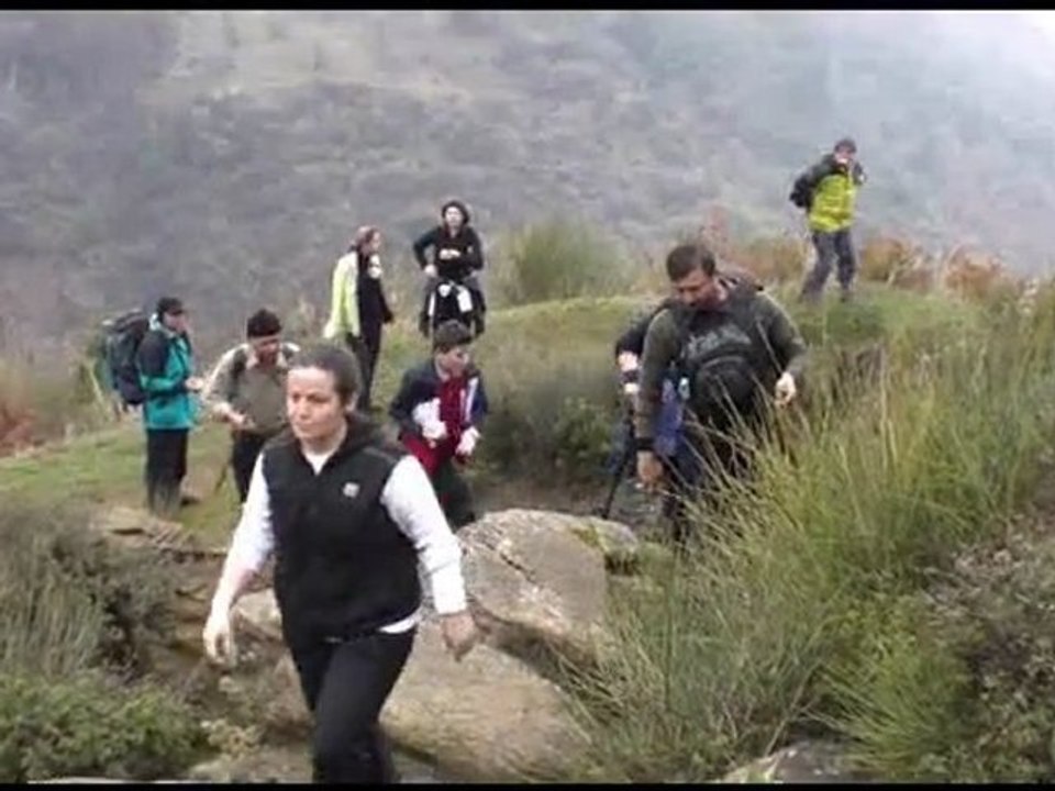 Tire 15.Aralık .2012