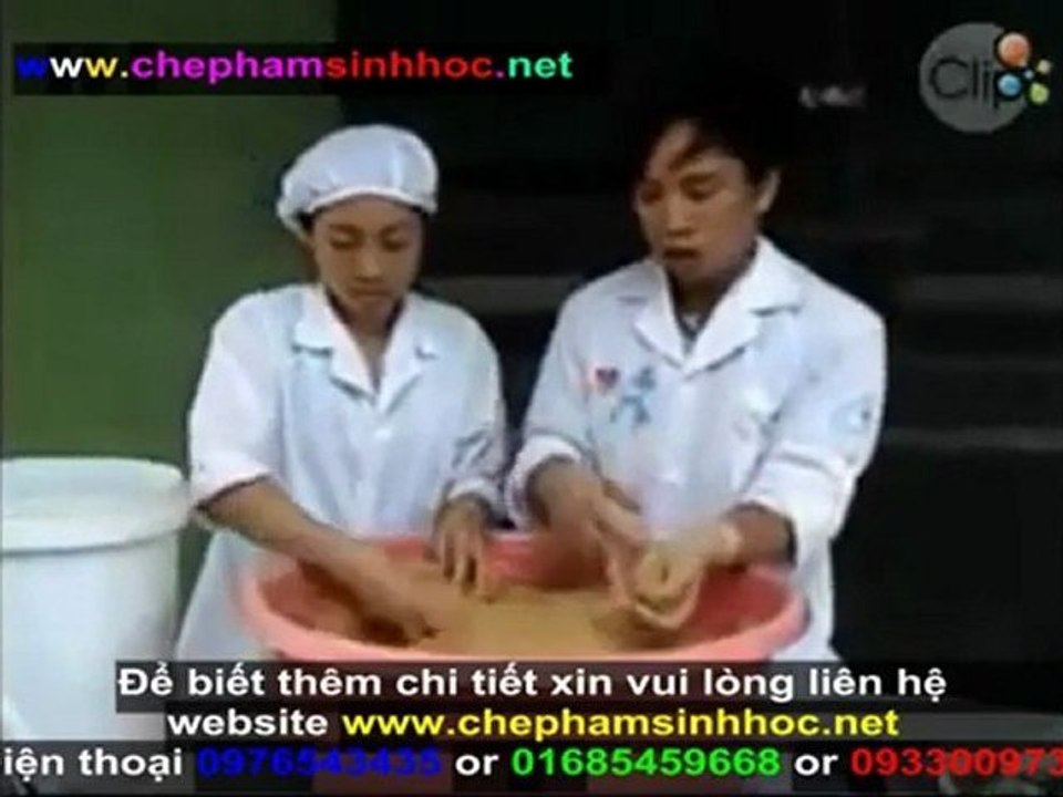 Cách ủ chế phẩm men vi sinh NN1 - hướng dẫn sử dụng chế phẩm men vi sinh NN1 cho gia súc, gia cầm phần 3