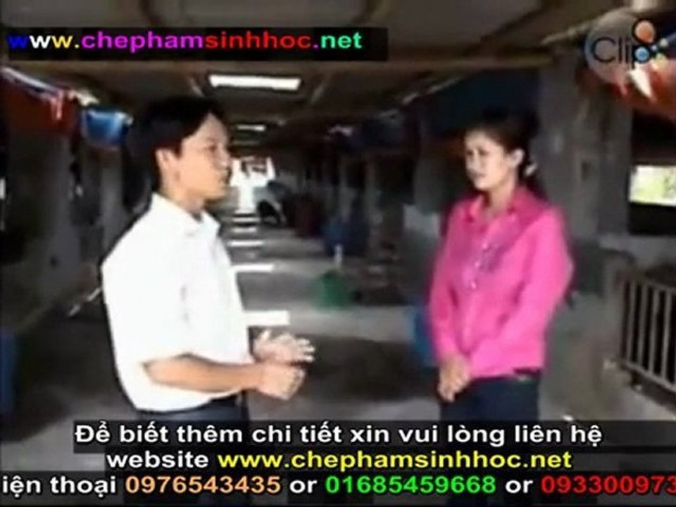 Cách ủ chế phẩm men vi sinh NN1 - hướng dẫn sử dụng chế phẩm men vi sinh NN1 cho gia súc, gia cầm phần 6