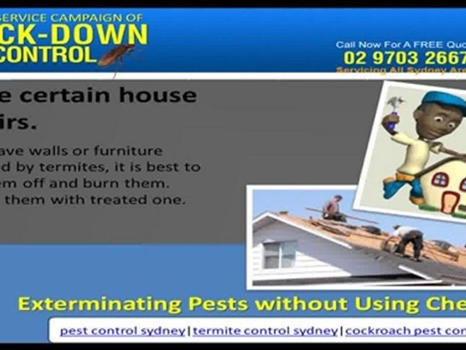 Pest Control Sydney - Exterminating Pests without Using Chemicals
