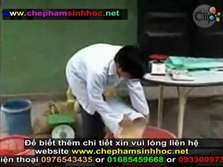 Cách ủ men vi sinh NN1 - hướng dẫn sử dụng men vi sinh NN1 phần 2