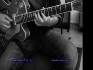 SWEDEN MINECRAFT [GUITAR COVER FULL TABS ]