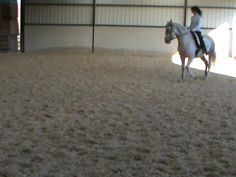hanches en dedans D trot et galop